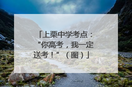上栗中学考点：“你高考，我一定送考！”（图）