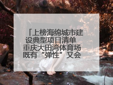 上榜海绵城市建设典型项目清单 重庆大田湾体育场既有“弹性”又会“呼吸”