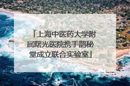 上海中医药大学附属曙光医院携手鹊秘堂成立联合实验室