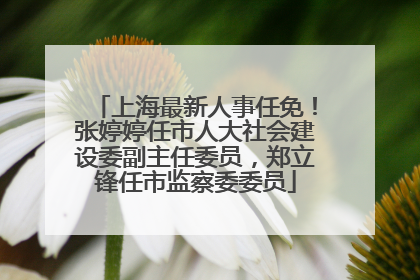 上海最新人事任免！张婷婷任市人大社会建设委副主任委员，郑立锋任市监察委委员