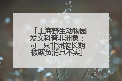 上海野生动物园发文科普非洲象：同一只非洲象长期被欺负消息不实