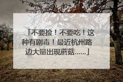 不要捡！不要吃！这种有剧毒！最近杭州路边大量出现蘑菇……