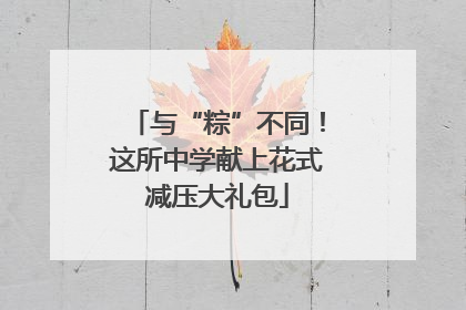 与“粽”不同！这所中学献上花式减压大礼包