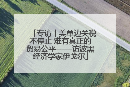 专访丨美单边关税不停止 难有真正的贸易公平——访波黑经济学家伊戈尔