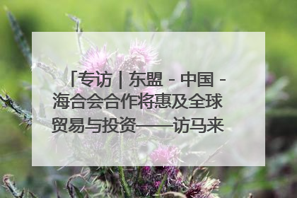 专访｜东盟－中国－海合会合作将惠及全球贸易与投资——访马来西亚亚太“一带一路”共策会高级研究员本恩·纳戈拉