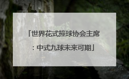 世界花式撞球协会主席：中式九球未来可期