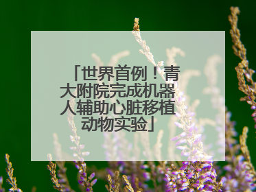 世界首例！青大附院完成机器人辅助心脏移植动物实验