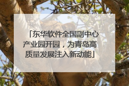 东华软件全国副中心产业园开园，为青岛高质量发展注入新动能