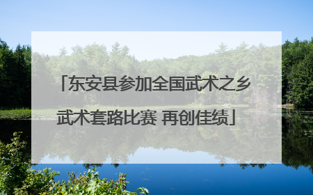 东安县参加全国武术之乡武术套路比赛 再创佳绩