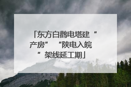 东方白鹳电塔建“产房” “陕电入皖”架线延工期