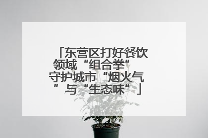 东营区打好餐饮领域“组合拳” 守护城市“烟火气”与“生态味”