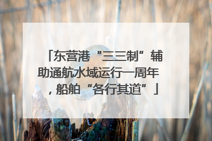 东营港“三三制”辅助通航水域运行一周年，船舶“各行其道”
