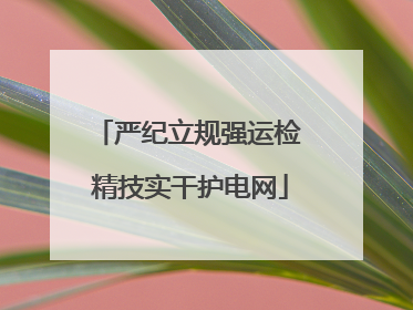 严纪立规强运检 精技实干护电网