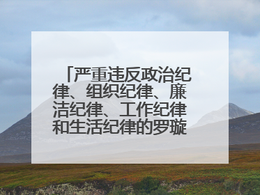 严重违反政治纪律、组织纪律、廉洁纪律、工作纪律和生活纪律的罗璇，非法收受他人巨额财物