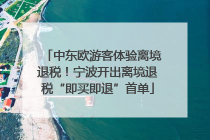 中东欧游客体验离境退税！宁波开出离境退税“即买即退”首单