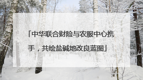 中华联合财险与农服中心携手，共绘盐碱地改良蓝图