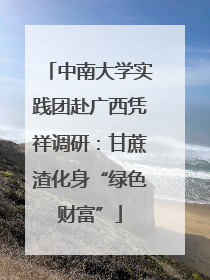 中南大学实践团赴广西凭祥调研：甘蔗渣化身“绿色财富”