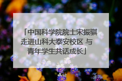 中国科学院院士宋振骐走进山科大泰安校区 与青年学生共话成长
