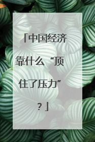 中国经济靠什么“顶住了压力”？