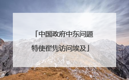 中国政府中东问题特使翟隽访问埃及