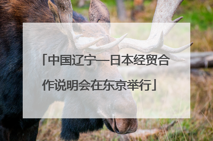 中国辽宁—日本经贸合作说明会在东京举行