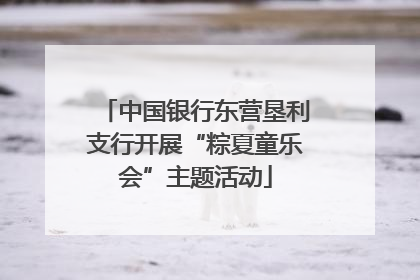 中国银行东营垦利支行开展“粽夏童乐会”主题活动