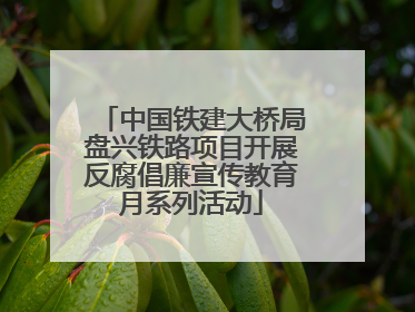 中国铁建大桥局盘兴铁路项目开展反腐倡廉宣传教育月系列活动