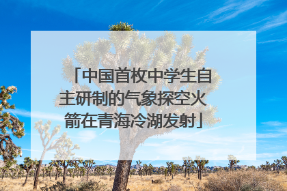 中国首枚中学生自主研制的气象探空火箭在青海冷湖发射