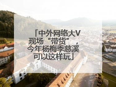 中外网络大V现场“带货”，今年杨梅季慈溪可以这样玩
