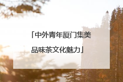 中外青年厦门集美品味茶文化魅力