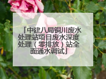 中建八局铜川废水处理站项目废水深度处理（零排放）站全面通水调试