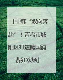 中韩“双向奔赴”！青岛市城阳区打造跨国消费狂欢场