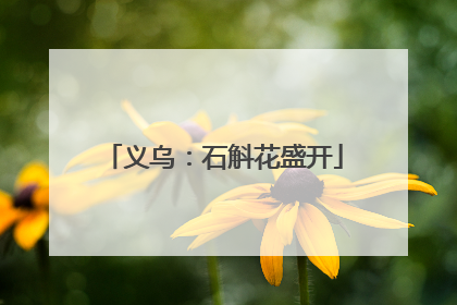 义乌：石斛花盛开