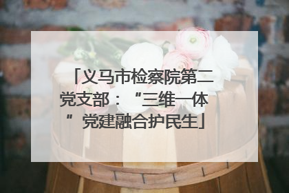 义马市检察院第二党支部：“三维一体”党建融合护民生