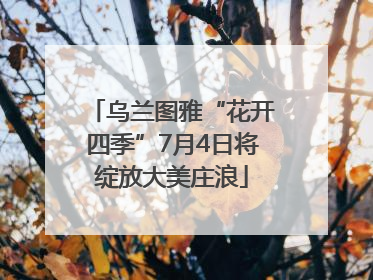 乌兰图雅“花开四季”7月4日将绽放大美庄浪