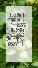 乌海市海南区：“一站式”服务解锁基层治理“平安密码”