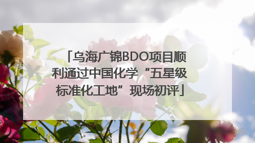 乌海广锦BDO项目顺利通过中国化学“五星级标准化工地”现场初评