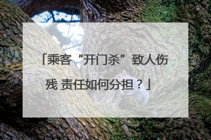 乘客“开门杀”致人伤残 责任如何分担？