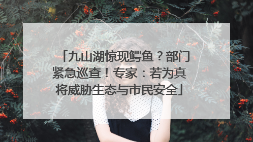 九山湖惊现鳄鱼？部门紧急巡查！专家：若为真将威胁生态与市民安全