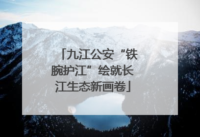 九江公安“铁腕护江”绘就长江生态新画卷