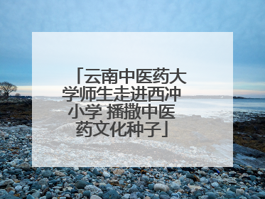 云南中医药大学师生走进西冲小学 播撒中医药文化种子