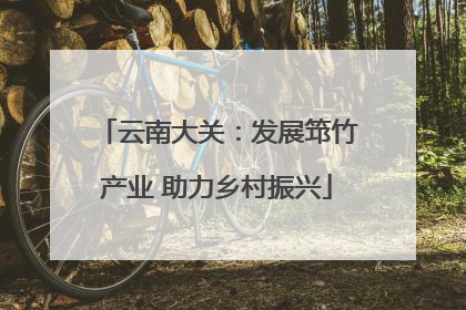 云南大关：发展筇竹产业 助力乡村振兴