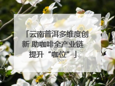 云南普洱多维度创新 助咖啡全产业链提升“咖位”
