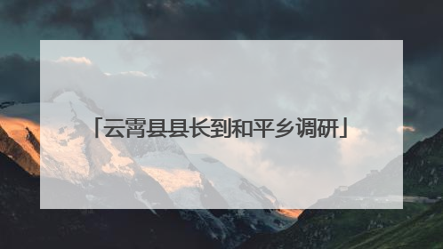 云霄县县长到和平乡调研
