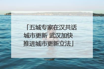 五城专家在汉共话城市更新 武汉加快推进城市更新立法