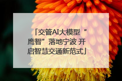 交管AI大模型“鹰智”落地宁波 开启智慧交通新范式