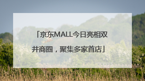 京东MALL今日亮相双井商圈，聚集多家首店