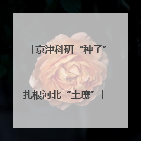 京津科研“种子”扎根河北“土壤”