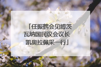 任振鹤会见博茨瓦纳国民议会议长凯奥拉佩采一行