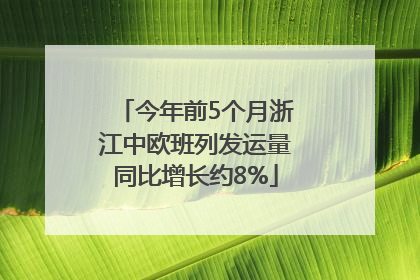 今年前5个月浙江中欧班列发运量同比增长约8%